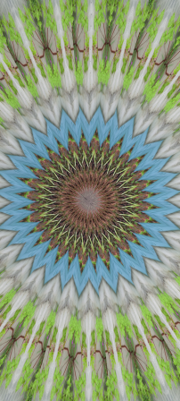 1080x2400 screenshot.png 10