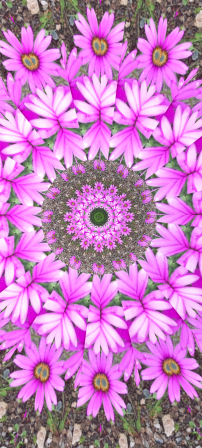 1080x2400 screenshot.png 26